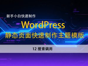 12搜索调用–新手小白，快速使用静态页面建立wordpress主题