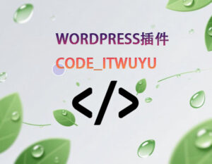 WordPress插件—Code_itwuyu插件一款代码添加插件，用于代码前端显示